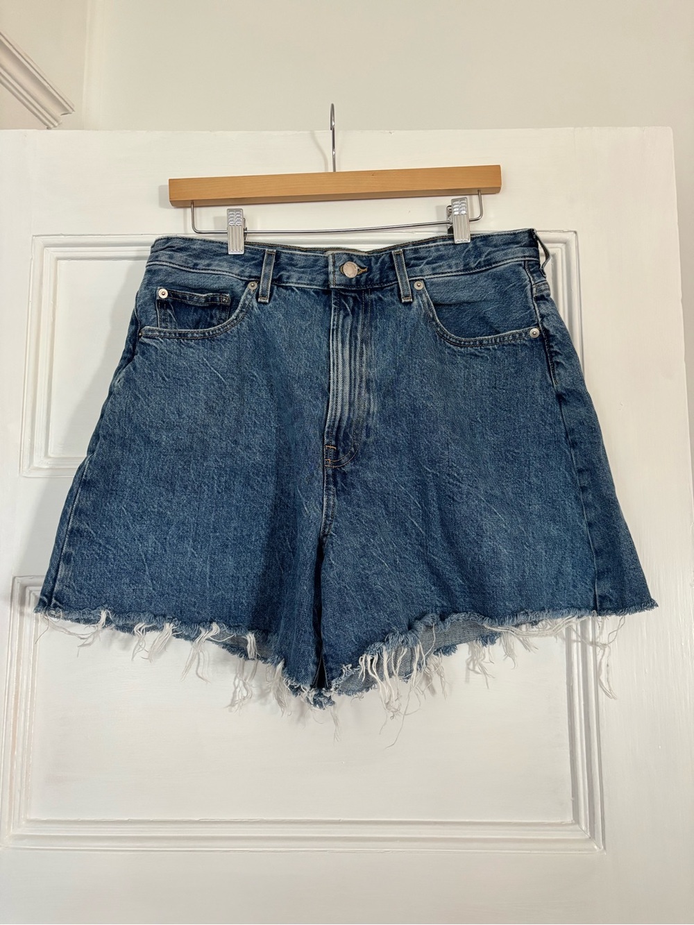 Everlane A-Line Denim Short